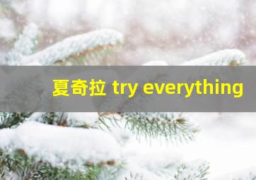 夏奇拉 try everything